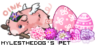 Dressed pet
