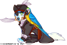Dressed pet