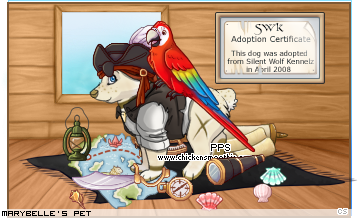 Dressed pet