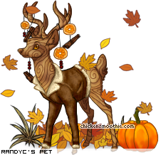 Dressed pet