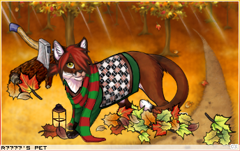 Dressed pet