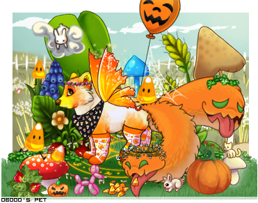 Dressed pet