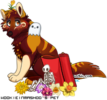Dressed pet