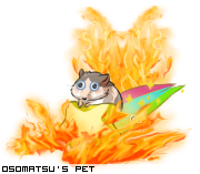 Dressed pet