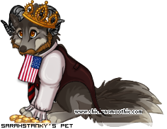 Dressed pet