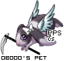 Dressed pet