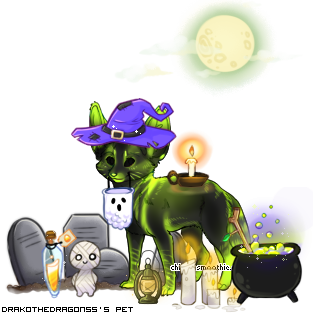Dressed pet