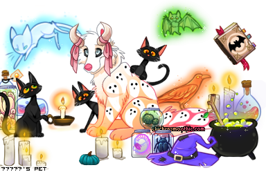 Dressed pet