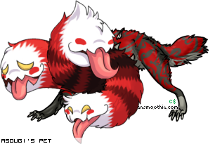 Dressed pet