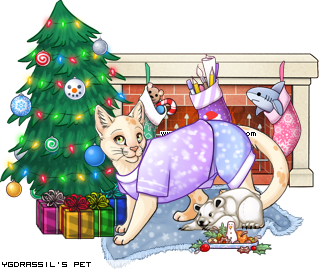 Dressed pet
