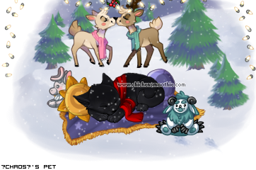 Dressed pet