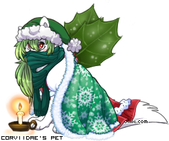 Dressed pet