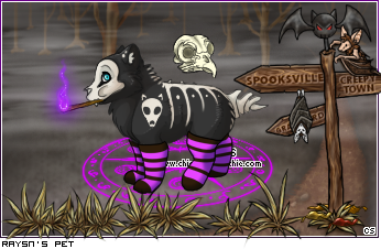 Dressed pet