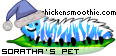 Dressed pet
