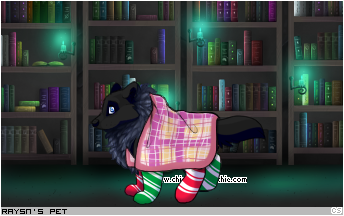 Dressed pet