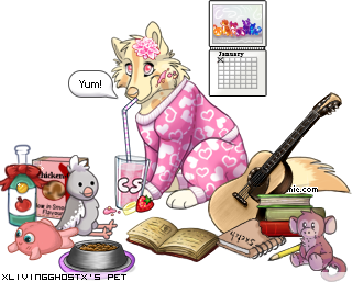 Dressed pet
