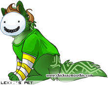 Dressed pet