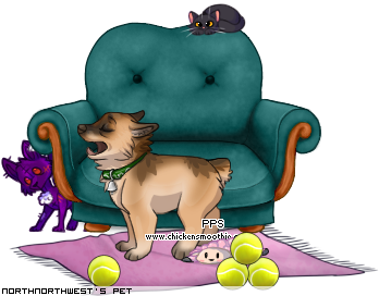 Dressed pet