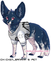 Dressed pet
