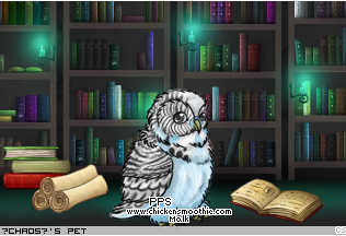Dressed pet