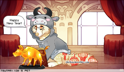 Dressed pet