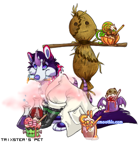 Dressed pet