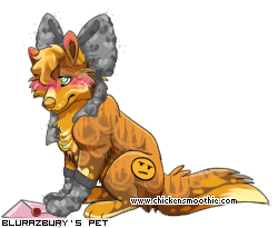 Dressed pet