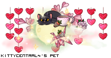 Dressed pet