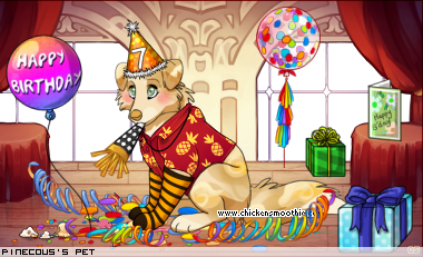 Dressed pet
