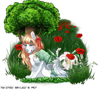 Dressed pet