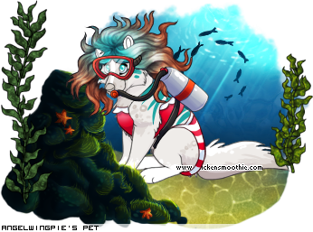 Dressed pet