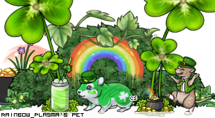 Dressed pet