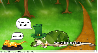 Dressed pet