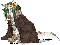 Dressed pet