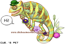 Dressed pet