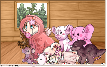Dressed pet