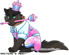 Dressed pet