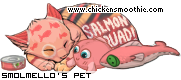 Dressed pet