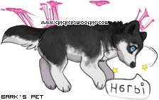 Dressed pet