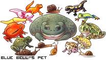 Dressed pet