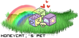Dressed pet