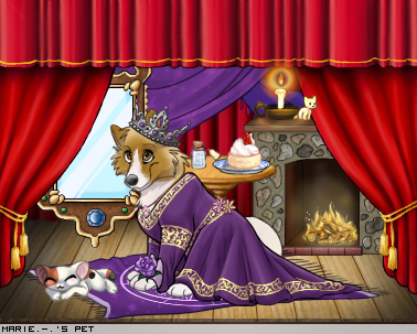 Dressed pet