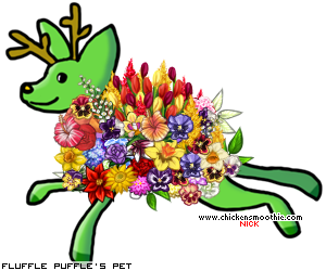 Dressed pet
