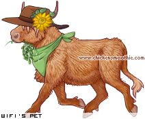 Dressed pet