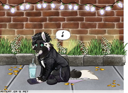 Dressed pet