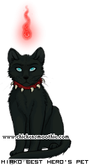 Dressed pet