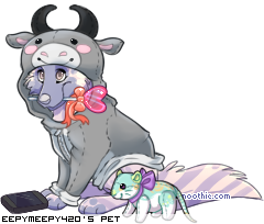 Dressed pet