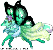 Dressed pet