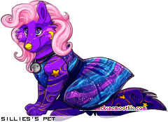 Dressed pet