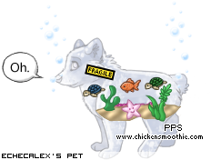 Dressed pet